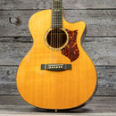 Martin GPCPA1 Plus