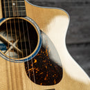 Martin SC-13E