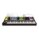 Moog Matriarch