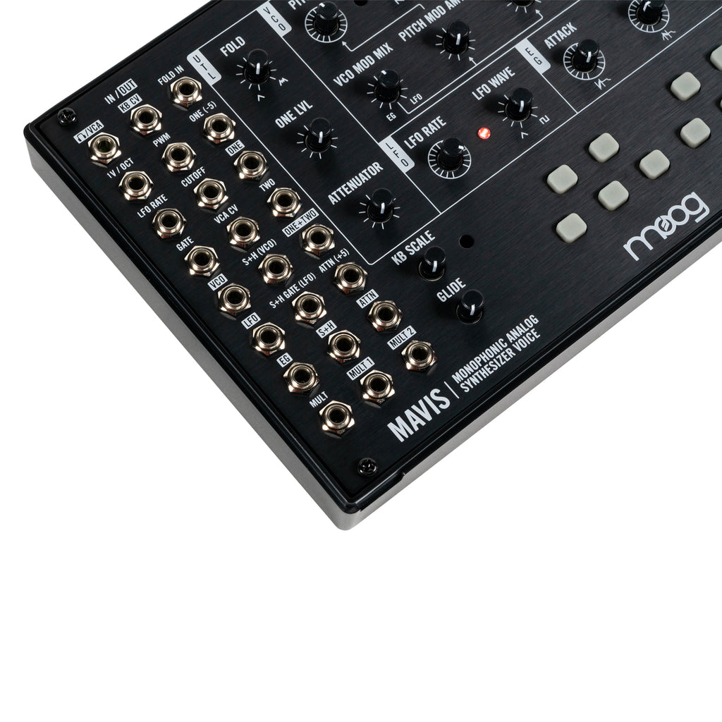 Moog Mavis Monophonic Analog Synthesizer Kit