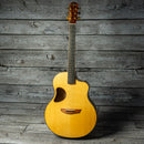 McPherson MG-5.0 XPW