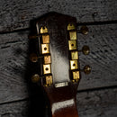 Oahu Diana Lap Steel