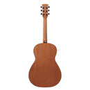 Ibanez PN50- Open Pore Brown Sunburst Top