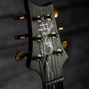 PRS 30th Anniversary "Vine" Custom 22 - Limited Run