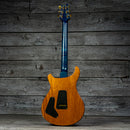 PRS 30th Anniversary "Vine" Custom 22 - Limited Run