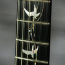 PRS 30th Anniversary "Vine" Custom 22 - Limited Run