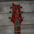PRS Custom 22 10-Top