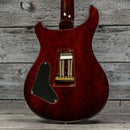 PRS Custom 24 10-Top 2010