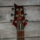 PRS Custom 24 10-Top 2010