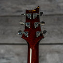 PRS Custom 24 10-Top 2010