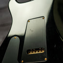 PRS Custom 24 10 Top - Purple Mist