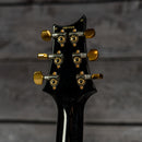 PRS Custom 24 10 Top - Purple Mist