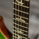 PRS Custom 24 Piezo - Eriza Verde 10-Top