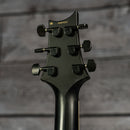 PRS Dustie Waring Signature CE24 Hardtail