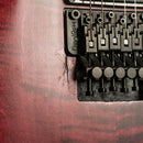 PRS Dustie Waring Signature CE24 Floyd