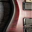 PRS Dustie Waring Signature CE24 Floyd