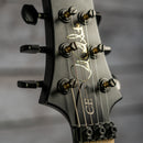 PRS Dustie Waring Signature CE24 Floyd