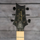 PRS Dustie Waring Signature CE24 Floyd