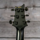 PRS Dustie Waring Signature CE24 Floyd