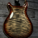 PRS Hollowbody II Piezo Artist Package