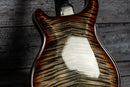 PRS Hollowbody II Piezo Artist Package
