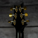 PRS Hollowbody II Piezo Artist Package