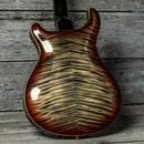 PRS Hollowbody II Artist Package