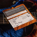 PRS Hollowbody II Artist Package