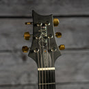 PRS Hollowbody II Artist Package