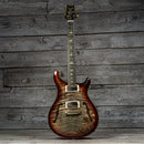 PRS Hollowbody II Artist Package