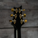 PRS Hollowbody II Artist Package