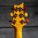 PRS Private Stock McCarty 594 Hollowbody II - Dragon's Breath