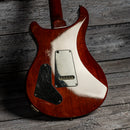 PRS S2 Custom 22