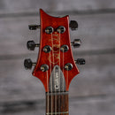 PRS S2 Custom 22