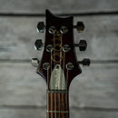 PRS S2 Standard 24