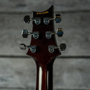 PRS S2 Standard 24