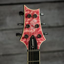 PRS SE Custom 24 Quilt