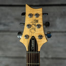 PRS SE Custom 24