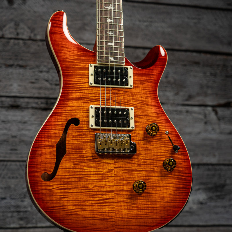 PRS SE Custom 24 Semi-Hollow w/ Piezo