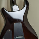 PRS SE DGT