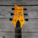 PRS SE Paul's Guitar