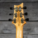PRS SE Paul's Guitar