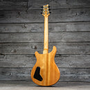 PRS SE Paul's Guitar