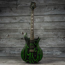 PRS SE Swamp Ash CE24 Sandblasted