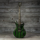 PRS SE Swamp Ash Sandblast CE24