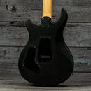 PRS SE Swamp Ash Sandblast CE24