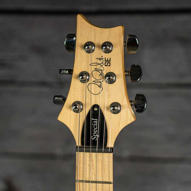 PRS SE Swamp Ash Special - Iri Blue