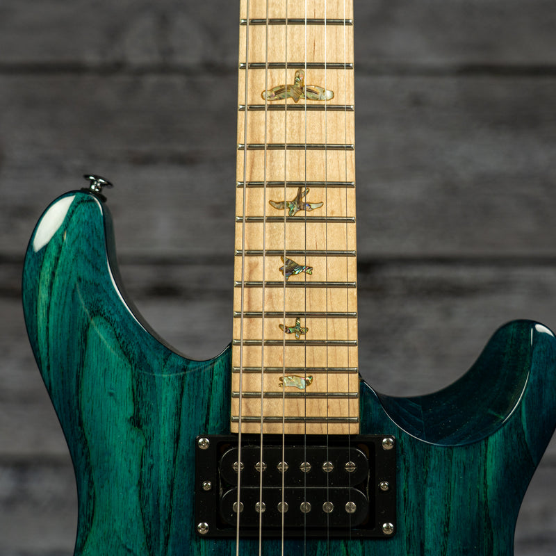 PRS SE Swamp Ash Special - Iri Blue