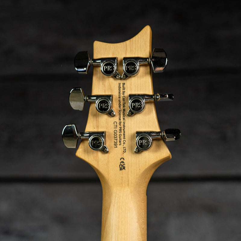 PRS SE Swamp Ash Special - Iri Blue