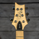 PRS SE Swamp Ash Special Iri Blue